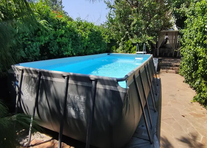 White House 오데사