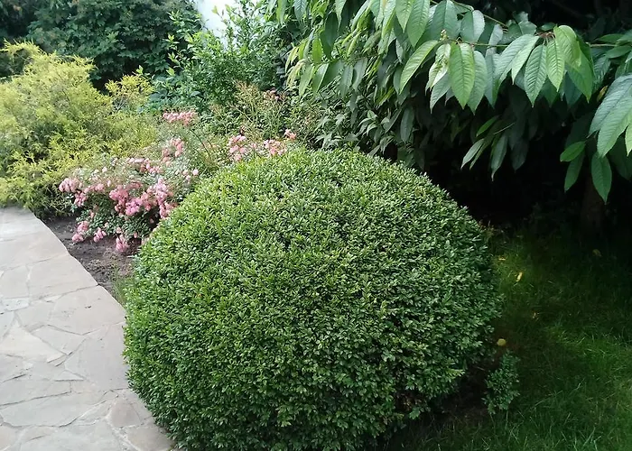 White House * 오데사