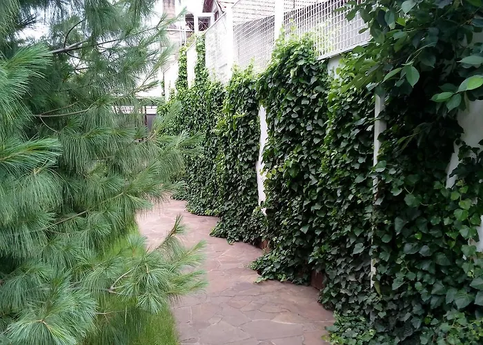 White House 오데사